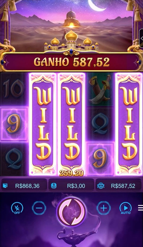 Wild Casino game