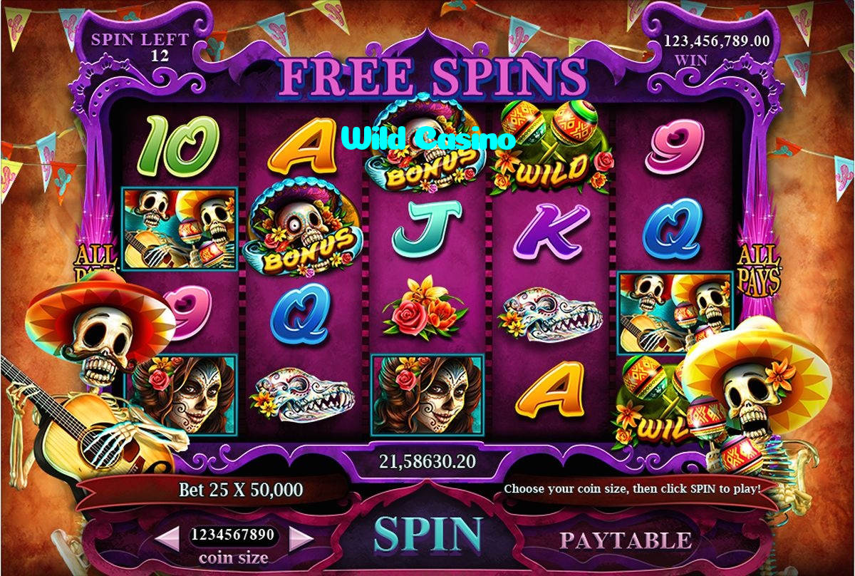 Wild Casino casino presented on mobile device in Pakistan with slots and live games