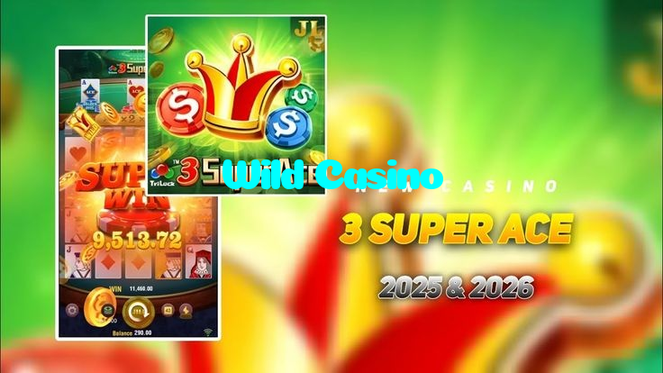 available types of Wild Casino bet including pre-match live express and system bets