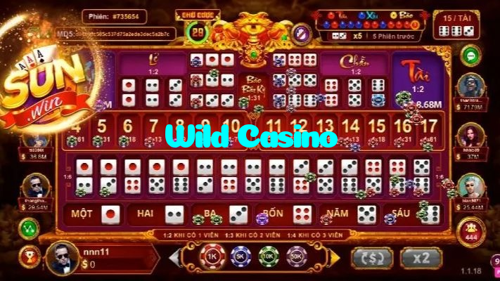 Wild Casino casino presented on mobile device in Pakistan with slots and live games